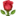 Darcek
